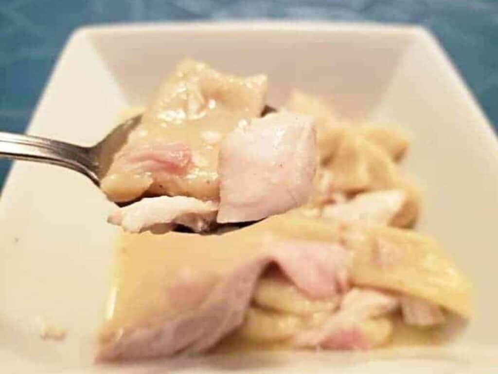 Image shows chicken and dumplings in a spoon.