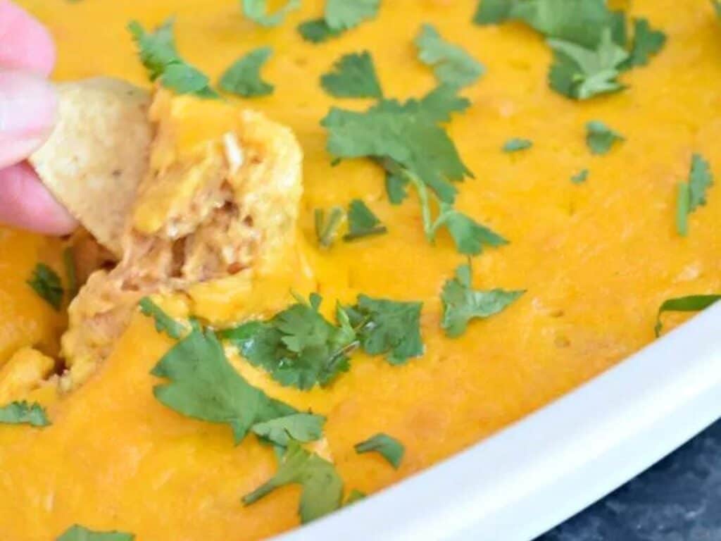 Image shows delicious cheesy chicken enchilada dip.
