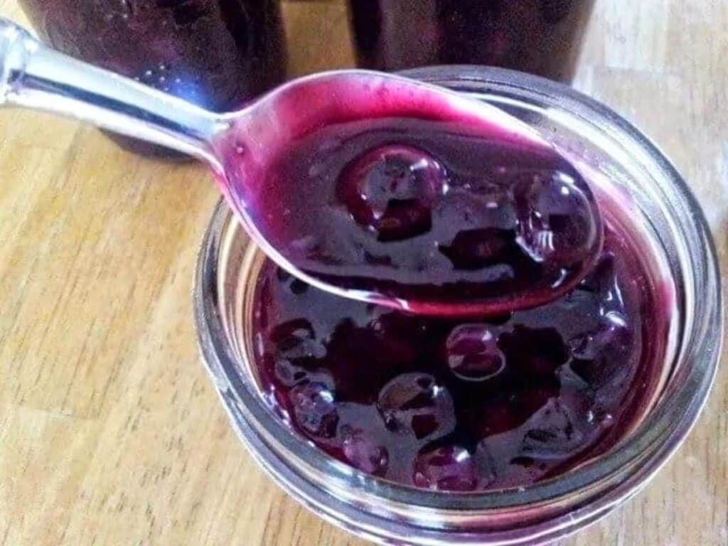 Image shows delicious homemade blueberry syrup.