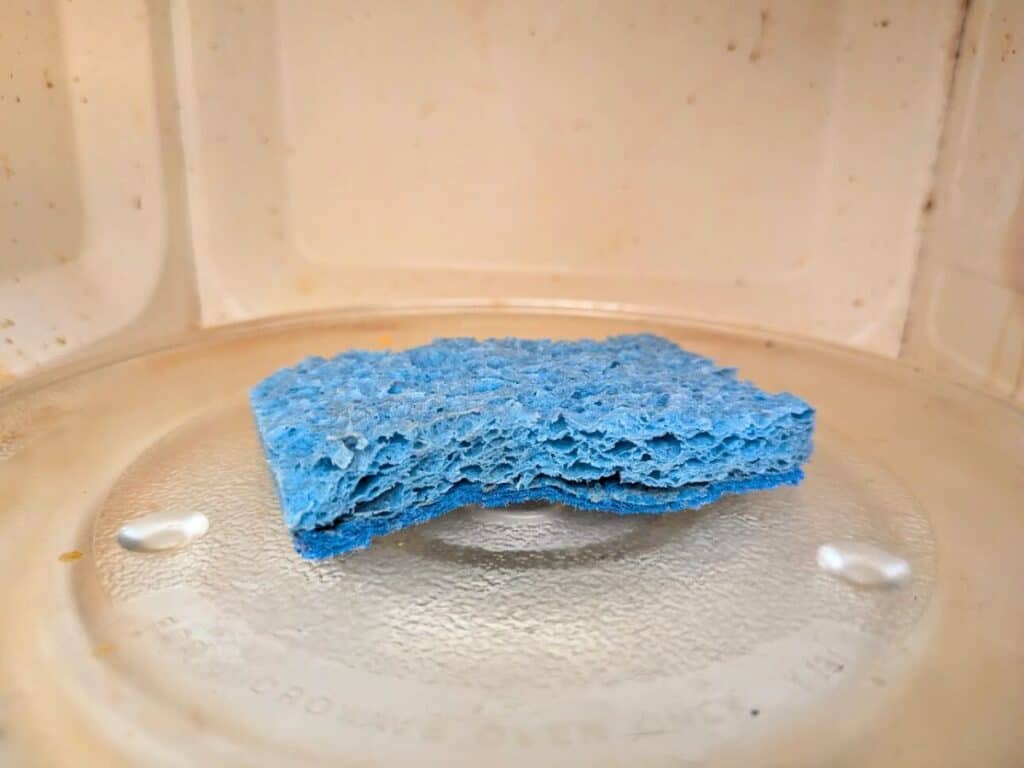 Image shows a Sponge sitting in an empty microwave.