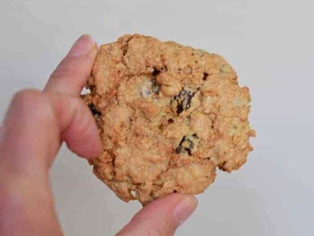 Image shows irresistible classic oatmeal raisin cookie.