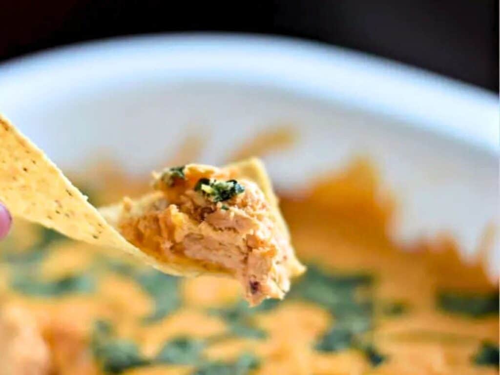 Image shows delicious cheesy chicken enchilada dip.