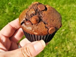 Image shows holding a delicious double chocolate muffin.