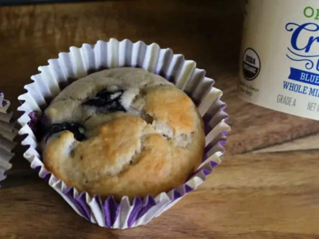Image shows irresistible blueberry yogurt muffin.