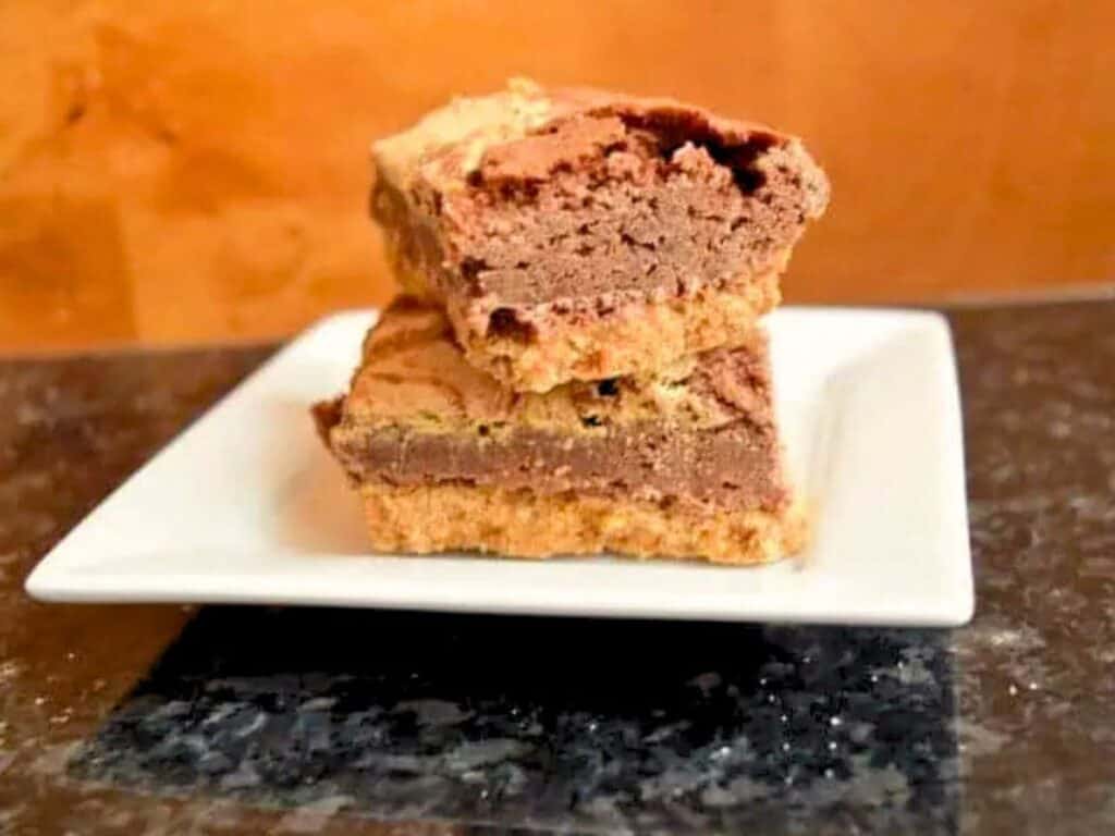 Image shows irresistible s'mores brownies on a plate.
