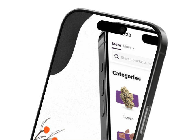 phone02