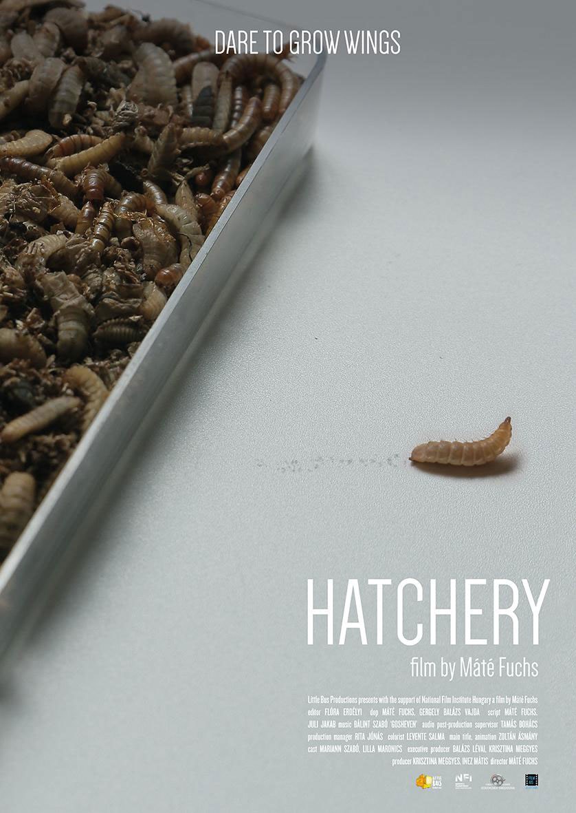 hatchery