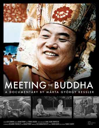 Meeting the Buddha