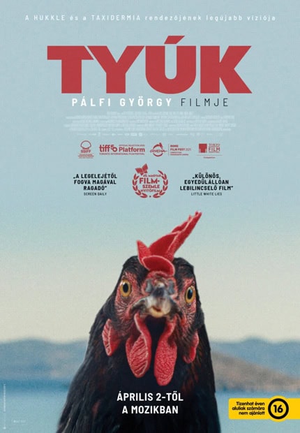 Hen