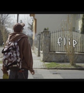 Flip