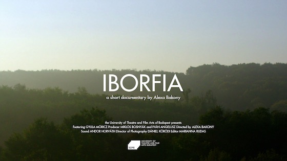 Iborfia