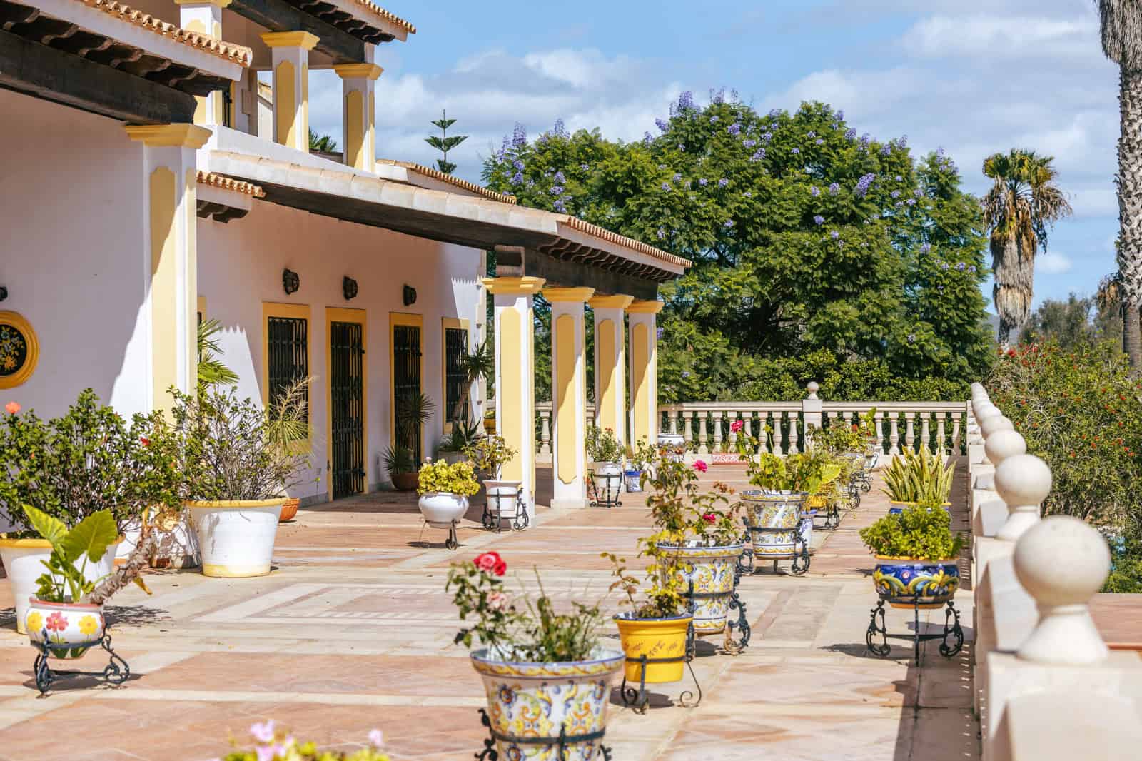 Los Olivos
