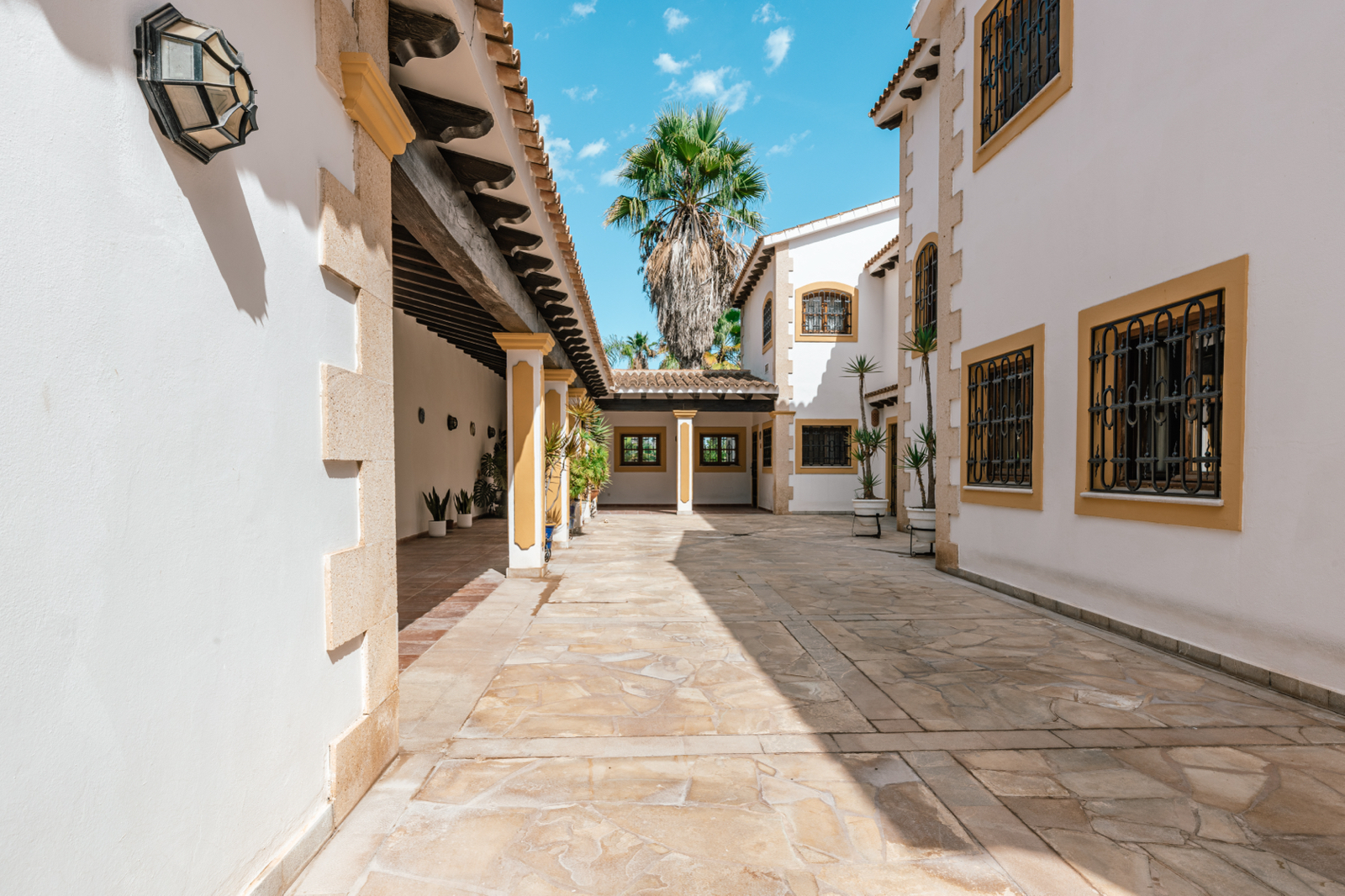 Los Olivos
