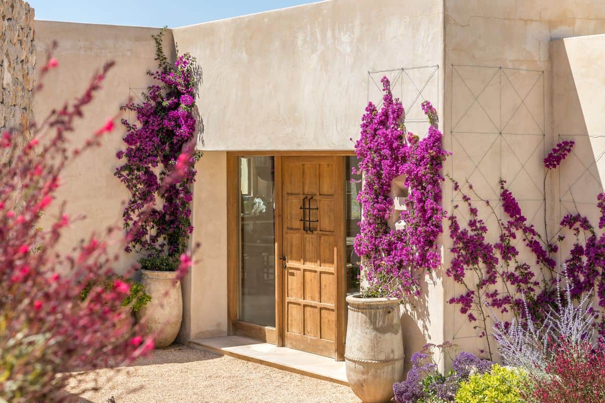 Sant Josep Contemporary Villa