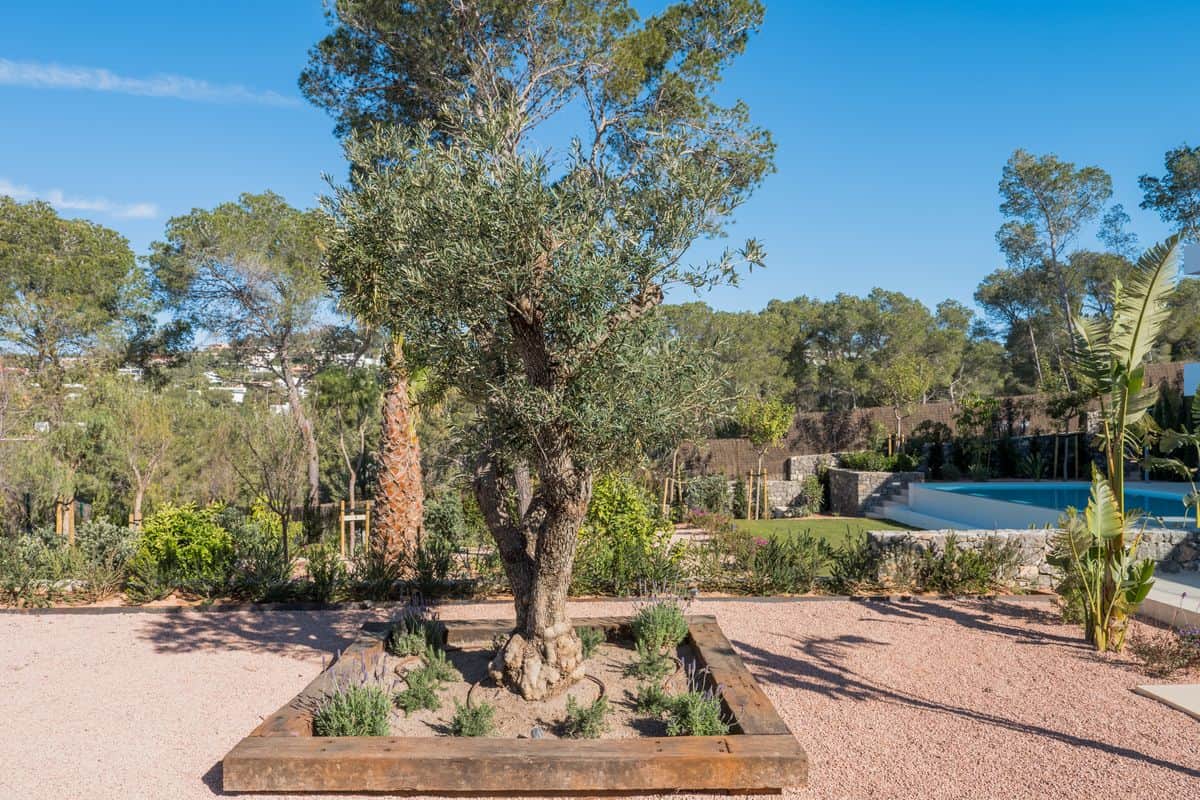 Villa con Vista Mare a Can Furnet