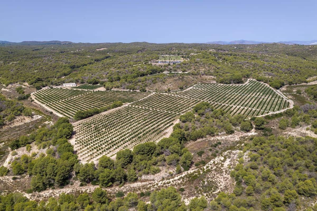 Sierra Escalona Private Estate