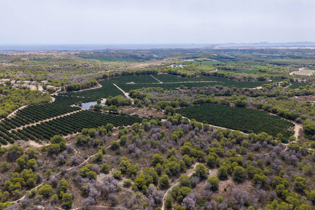 Sierra Escalona Private Estate