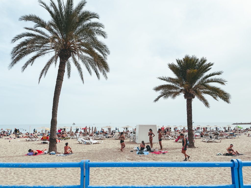 People having fun around palm trees on Alicante Beach