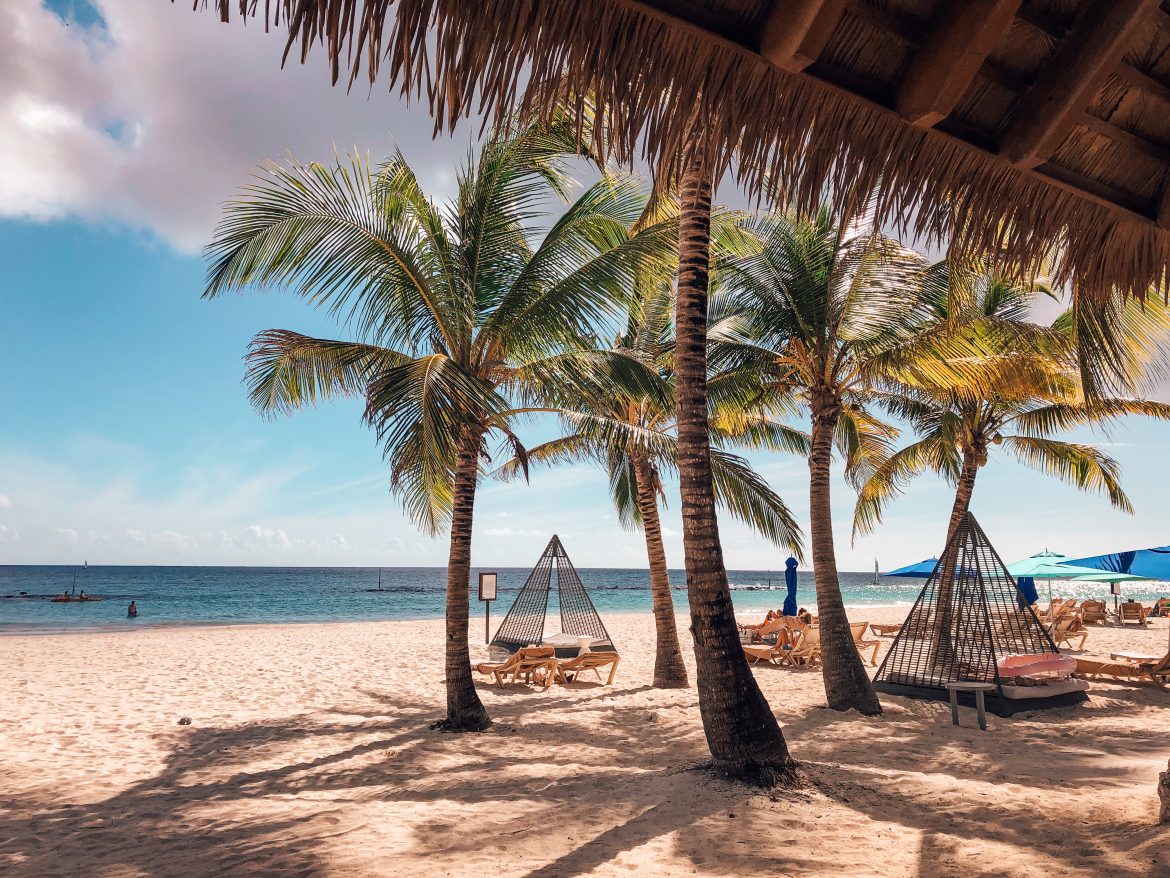 Palm trees on a Barbados beach