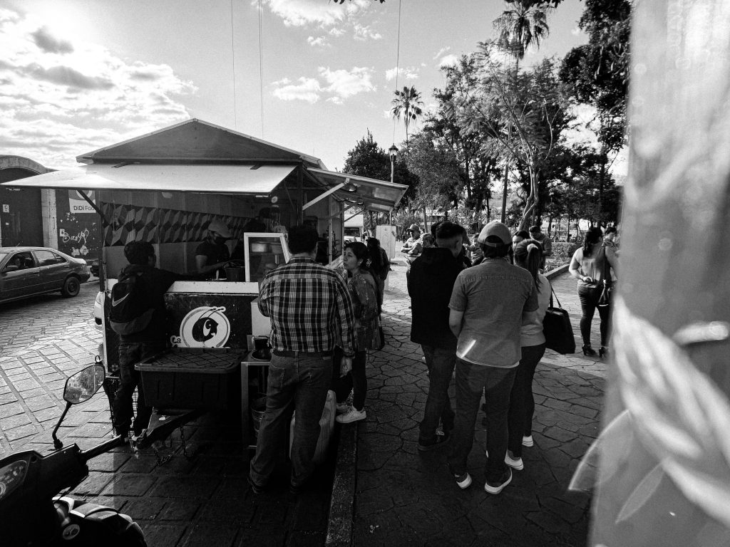 A crowd gathers at a street food stall on a sunny day, surrounded by trees and parked cars.