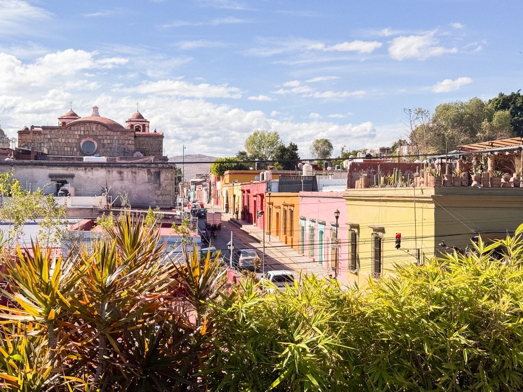 Colourful buildings and a church under a blue sky in a vibrant cityscape, viewed over lush green plants from the terrace of one of Oaxaca's best restaurants.