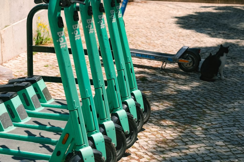 Row of green electric scooters parked on cobblestone; a black and white cat sits in the background.