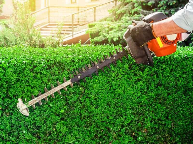10 Essential Home Maintenance Tasks Every Homeowner Should Know - iHandymanHub