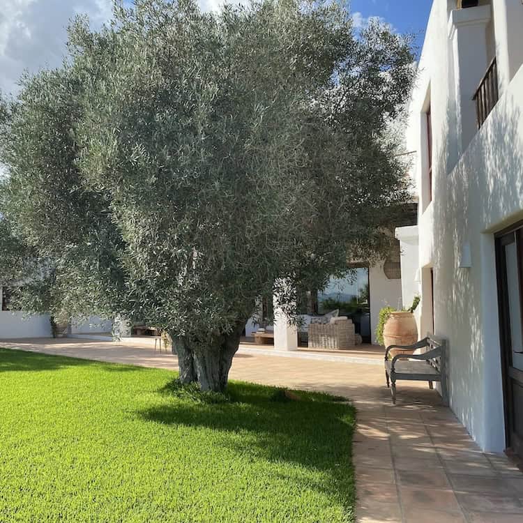 One of Istana Ibiza's discreet luxury residences in the hills of Ibiza