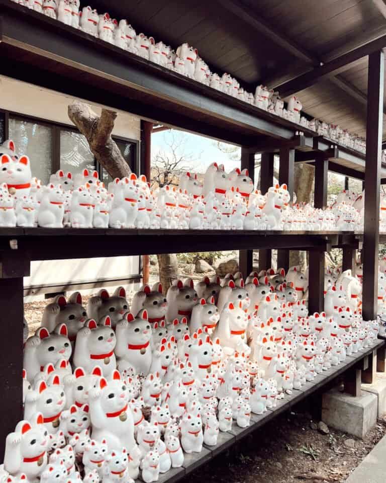 3 Days in Tokyo: A Realistic Itinerary for First-Time Visitors