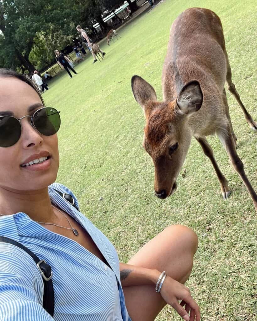 nara deer park japan solo female travel guide kyoto