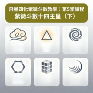 支援型與合作型