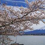 2026日本自由行預算規劃－富士山與河口湖風景