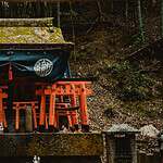 綠意中的日本神社建築，日本姻緣神社指南特色圖片