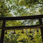 日本神社傳統建築，日本求財神社指南特色圖片