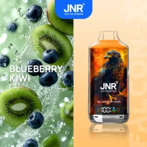 JNR Falcon-X 18000 Blueberry Kiwi