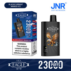 JNR Eagle 23000 Blackcurrant Mango Ice