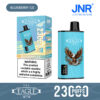 JNR Eagle 23000 Blueberry Ice