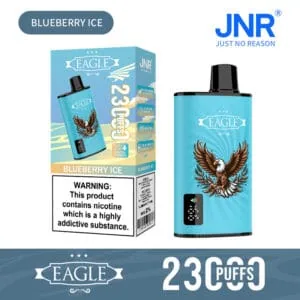 JNR Eagle 23000 Blueberry Ice