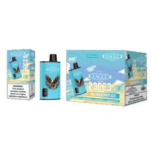 JNR Eagle 23000 Blueberry Ice