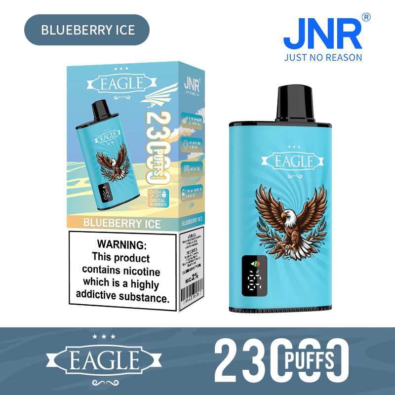 JNR Eagle 23000 Blueberry Ice