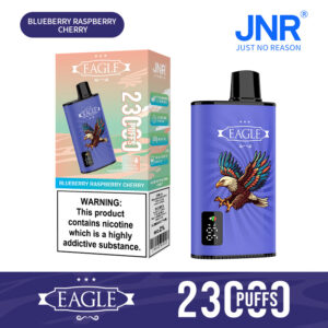 JNR Eagle 23000 Blueberry Raspberry Cherry