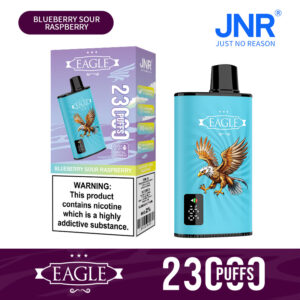 JNR Eagle 23000 Blueberry Sour Raspberry