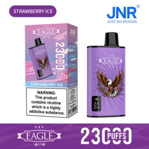 JNR Eagle 23000 Strawberry Ice