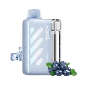 Vozol Vista 40000 Blueberry Ice