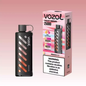 Vozol Gear Shisha 25000 Grape Mint – Bild 3