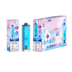 JNR Shisha Max 22000 Blueberry Ice