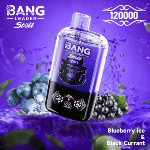 Bang Leader 120k Blueberry Ice/Black Currant