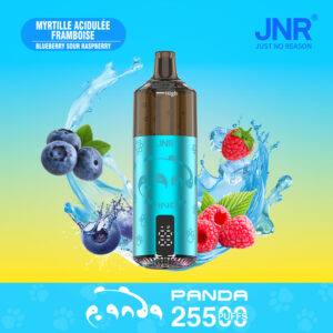 JNR Panda 25500 Blueberry Sour Raspberry