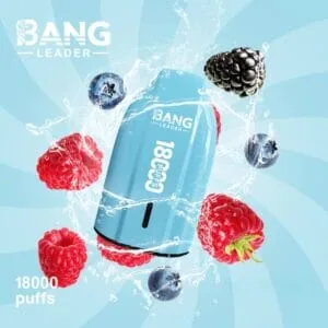 Bang Leader 18000 Mixed Fruits