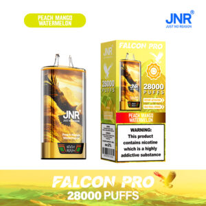 JNR Falcon Pro 28000 Peach Mango Watermelon